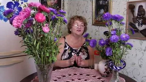 Букет Астры Стоит и Не Вянет - Мой Секрет