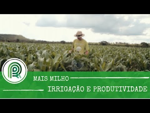 Vídeo: Qual é o programa da fazenda para o milho Quanto dinheiro foi curto e Ian pagou por 1 acre de milho?