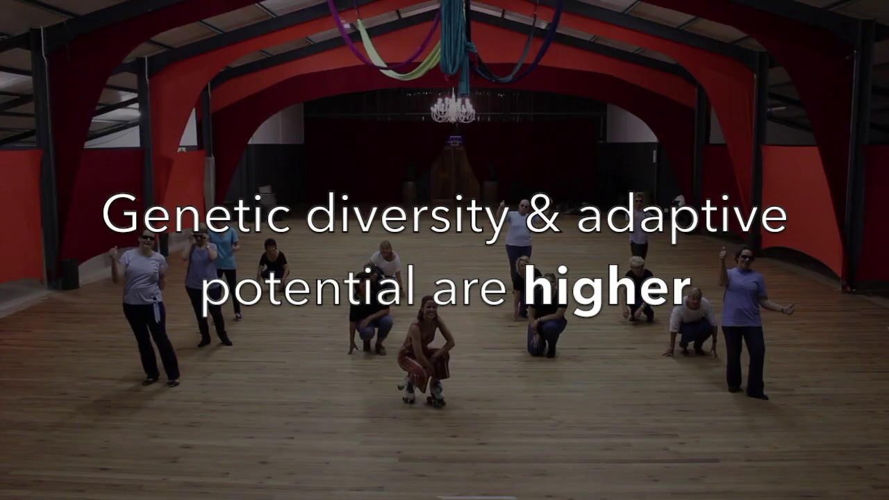 Dance Your Ph.D. 2019/2020 Resilience YouTube