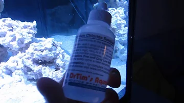 Co je chlorid amonný?