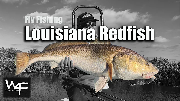 W4F - Fly Fishing Louisiana Redfish