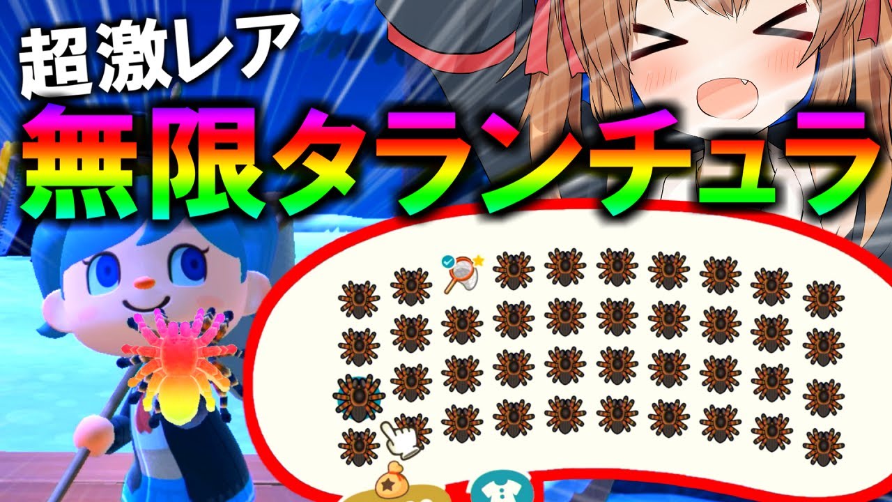 あつ森 ついに確率１ 以下の伝説の島 タランチュラ島に到着 あつまれどうぶつの森 ゆっくり実況 Youtube