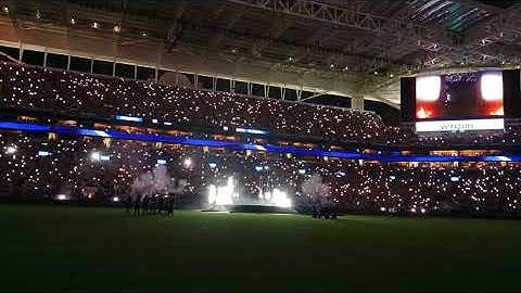 Shakira half Time Copa America finals