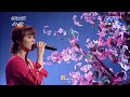 2018 05 09 最好聽的歌 曹雅雯 花香 2018 05 09 最好聽的歌 曹雅雯 花香
