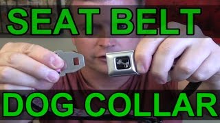 seat belt buckle collar