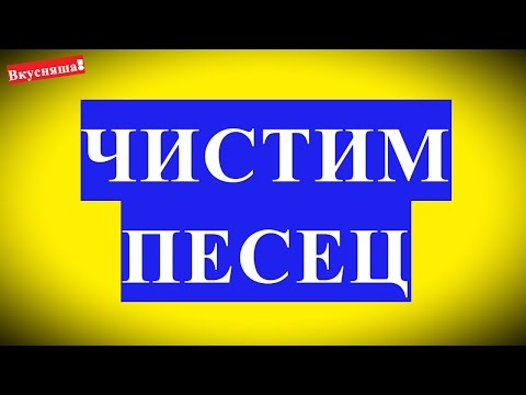 Как чистить мех песца в домашних условиях