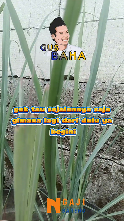 Ketika kebaikan tanpa visi Gus Baha