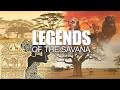 Legends of the Savanna: African Folklore and Myths