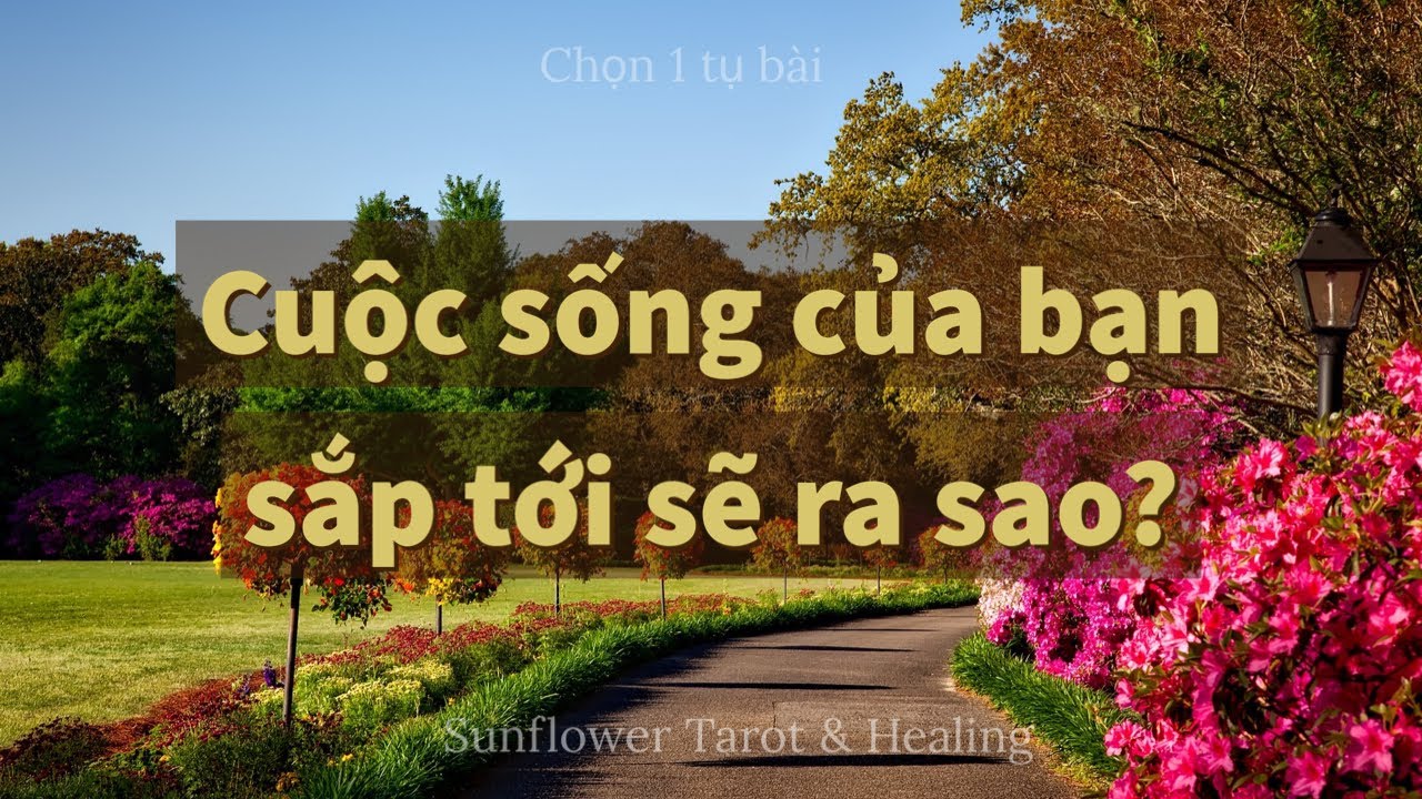 Chọn 1 tụ bài - Cuộc sống của bạn sắp tới sẽ ra sao?
