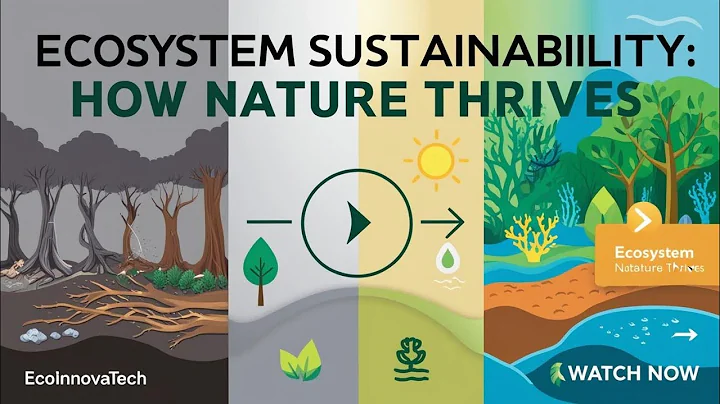 Ecosystem Sustainability Explained