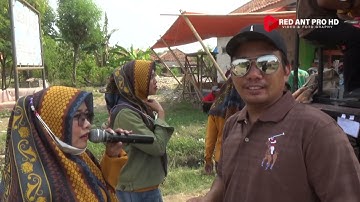 LINTANG RAINA | VOC.AYU PK ft RUDY BROW PK | PUTRA KLASIK | DS.MANGGUNGAN BLOK PANTURA ,2 OKT 2021