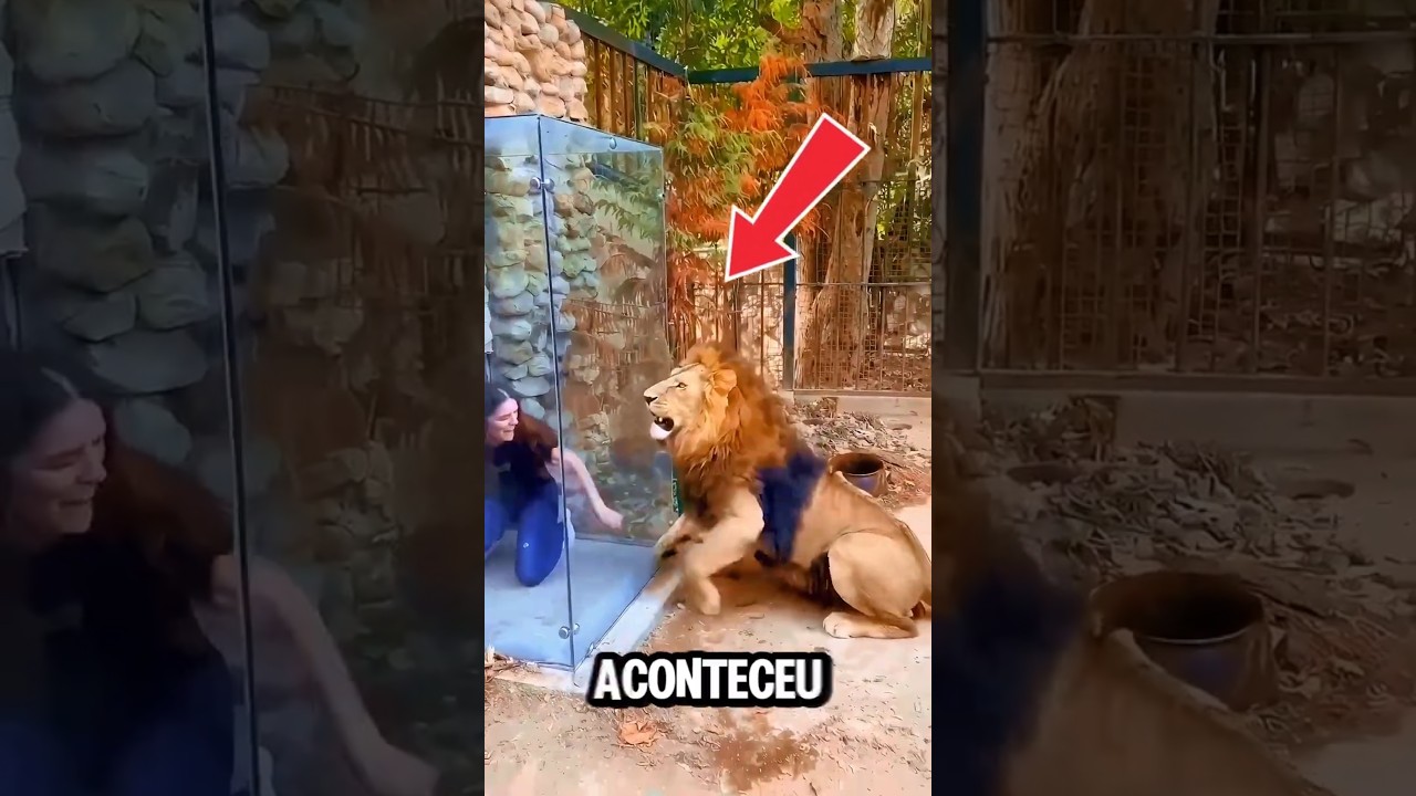 O LEÃO FEZ ISSO MESMO ??