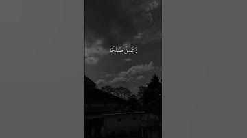 اكتب شيء تؤجر عليه🌿🖤||راحة نفسية🎧😴 #عمر_بن_ضياء_الدين #تلاوة_خاشعة #اجر #quran #karim_quran_1