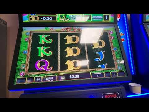 fiesta casino, alquiler y venta