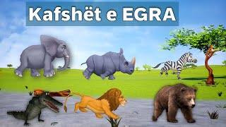 Kafshët E Egra Për Fëmijë