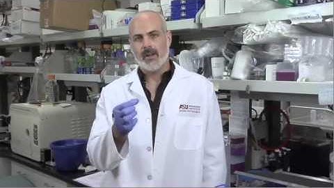 NAPPA Protocol: Step 1 of 5