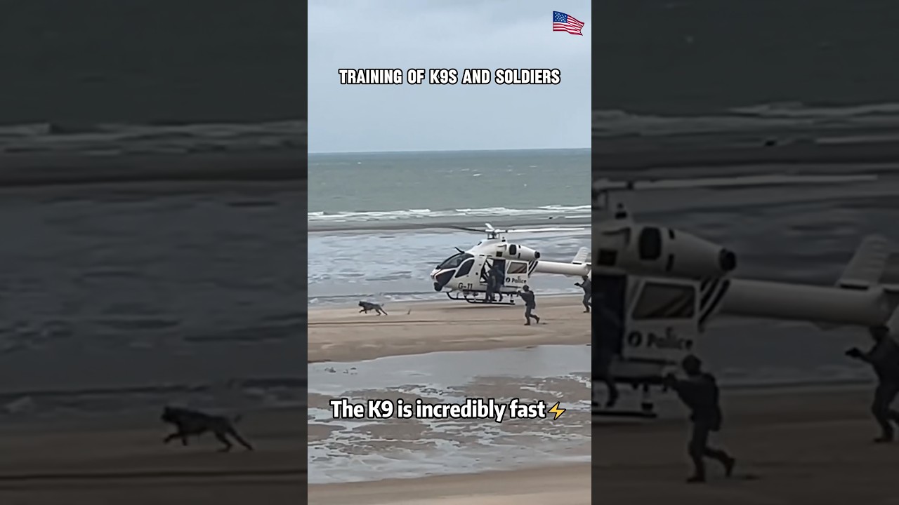 US Soldiers Jump From Plane With K9 Dog #militarydog #DogTraining #usa🇺🇸#dog #k9#armylife #america