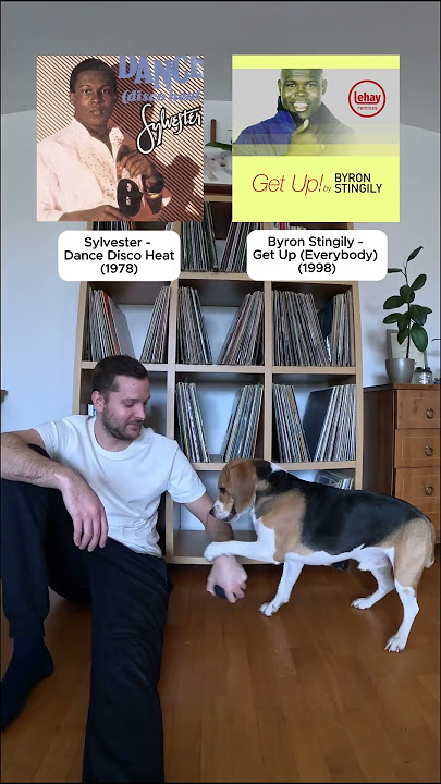 From original to house remix 🎶🐶 #housemusic #deephouse #beagle  #dogs #pets