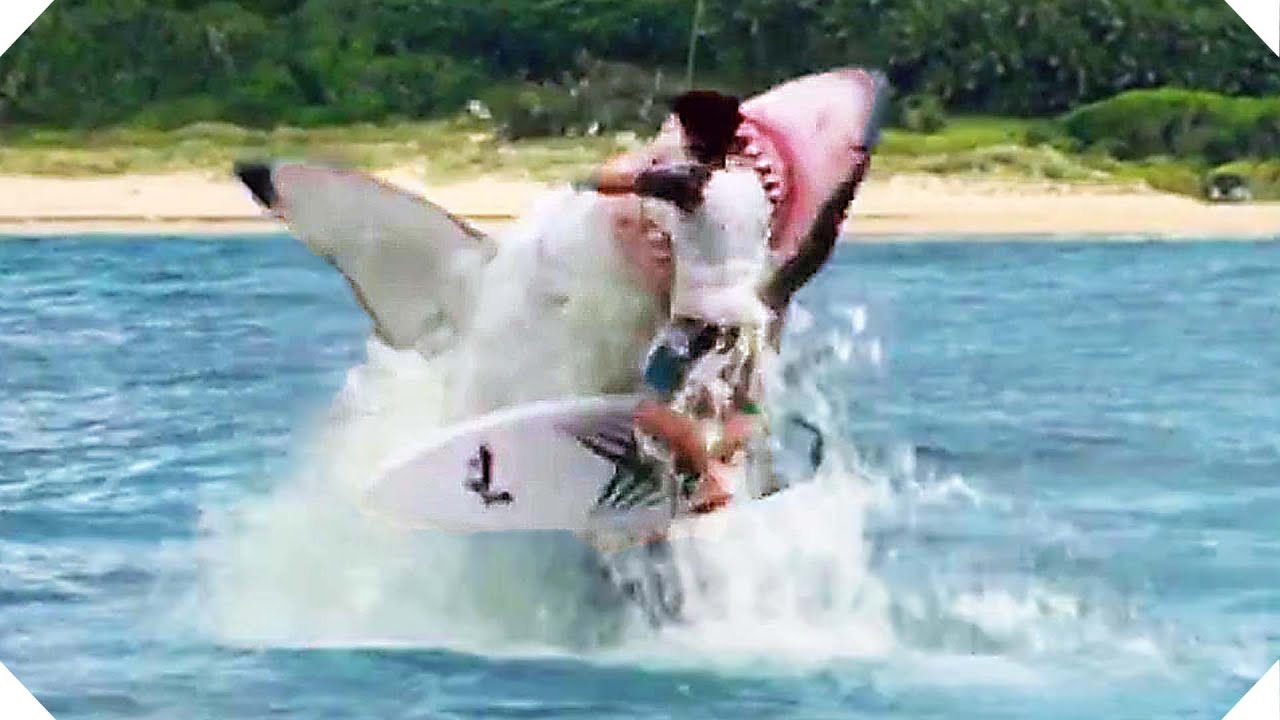 instinct de survie au cinema une caricature eculee des requins