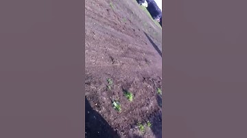 Exploding target fail