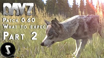 DayZ Patch 0.60 - What to Expect! Part 2
