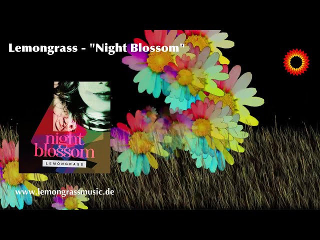 Lemongrass - All Night