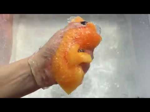 ASMR SPONGES | New sponge with floor cleaner without water | Watery, soapy, sponge sounds - YouTube