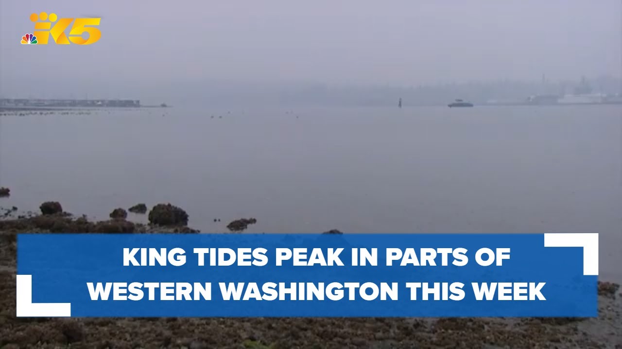 King tides peak in parts of Western Washington after Christmas - YouTube