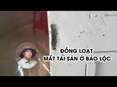 Video Nhiều nhà dân ở Bảo Lộc bị mất tài sản trong mùa cà phê - youtube