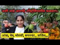     ii fruits from our backyard ii marathi vlog in australia