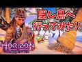 【ホライゾン フォビドゥンウエスト】激アツな隠し島への行き方!