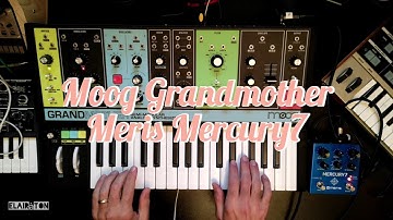 Moog Grandmother + Meris Mercury7