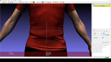 MOVE4D: first one-shot single-frame capture