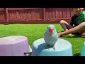 Rayan and RIO for another fun outdoor adventure! 🌿🦜