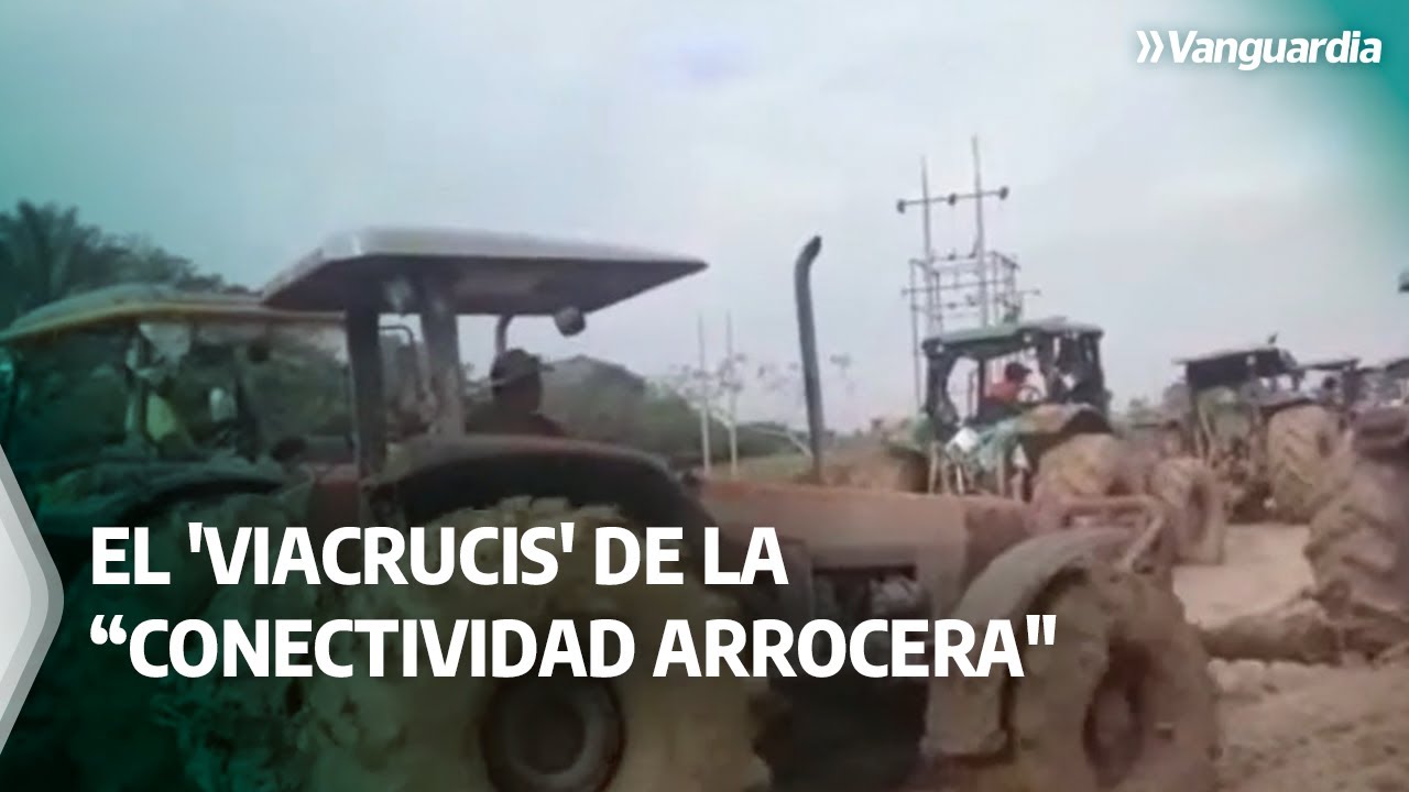 El 'viacrucis' de la “conectividad arrocera