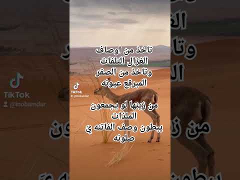 صويب الغزال     334 33