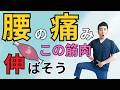 【反ると痛い腰にはココを伸ばす！】腰痛に効く「腸腰筋」のストレッチ＆筋トレ方法！