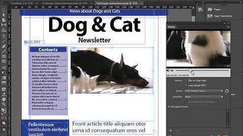 How to Create Interactive PDF Files in InDesign Creative Cloud