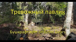 Бушкрафт тент Rebel Gears | Тревожный Павлик. Bushcraft tent Rebel Gears | Disturbing Pavlik