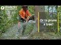 If you're in Coventry and need some tree care help, you've come to the right place with Coventry Tree Services. We're all about making sure your trees stay healthy, your place stays safe, and your yard stays looking great.

Now, when it's time to say goodbye to a tree, safety's our main concern. We get it, it's a big decision. That's why we're super careful and use the best gear to remove trees of any size. And when we're done, your yard will look as good as new.

Keeping your trees trimmed and neat is another thing we're great at. It's not just about looks—proper pruning helps keep your trees healthy and less likely to cause trouble. Whether your trees are young or old, we know just what they need to stay in tip-top shape.

And those pesky stumps? Yeah, we can take care of those too. Stumps can be a real pain, but our stump grinding service makes quick work of them. Before you know it, that eyesore will be gone, and your yard will be smooth and ready for whatever you've got planned next.

What makes us stand out? Well, we're all about making sure you're happy. We'll keep you in the loop every step of the way, so you know exactly what's going on. Plus, we're all about being kind to the planet too. We recycle grindings and make sure any waste is disposed of responsibly.

So, if your trees need a little TLC, Coventry Tree Services has got you covered. We'll take care of your trees like they're our own, so you can sit back and enjoy your beautiful yard.

https://coventrytreeservices.co.uk/