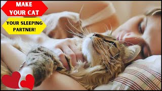 Do This and Your Cat Will Start Loving Sleeping with You!