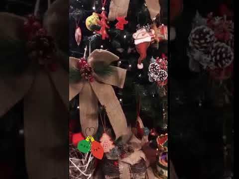 Η Έλενα Ασημακοπούλου στόλισε το χριστουγεννιάτικο δέντρο της
