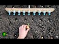 How To Create A Tool For Planting Onions And Garlic Planting Has Never Been So Easy