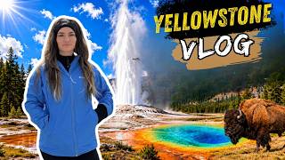 Bison Meets Bison | Yellowstone Vlog