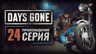 ИХ БЫЛО ТАК МНОГО — DAYS GONE | ПРОХОЖДЕНИЕ [#24]