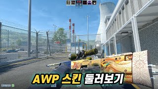 카스2 awp 스킨 둘러보기