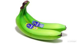 Bananas Rotated
