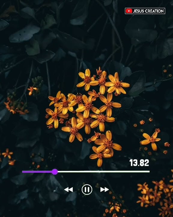 இதுவரை நடத்தி குறைவின்றி காத்து மகிழ்வைத் தந்தீரே நன்றி ஐயா 😍🥰❤️✨