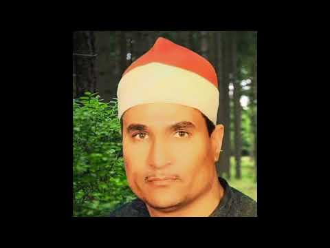 الشيخ محمد عبد الوهاب الطنطاوى نوادر سوره الاحقاف محمد روعه