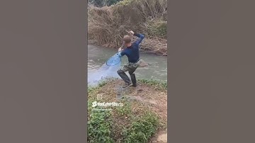 #اكسبلور #قران كريم #funny #المصحف #animals #ضحك #تيك توك #duet #kpop #blackpink 5